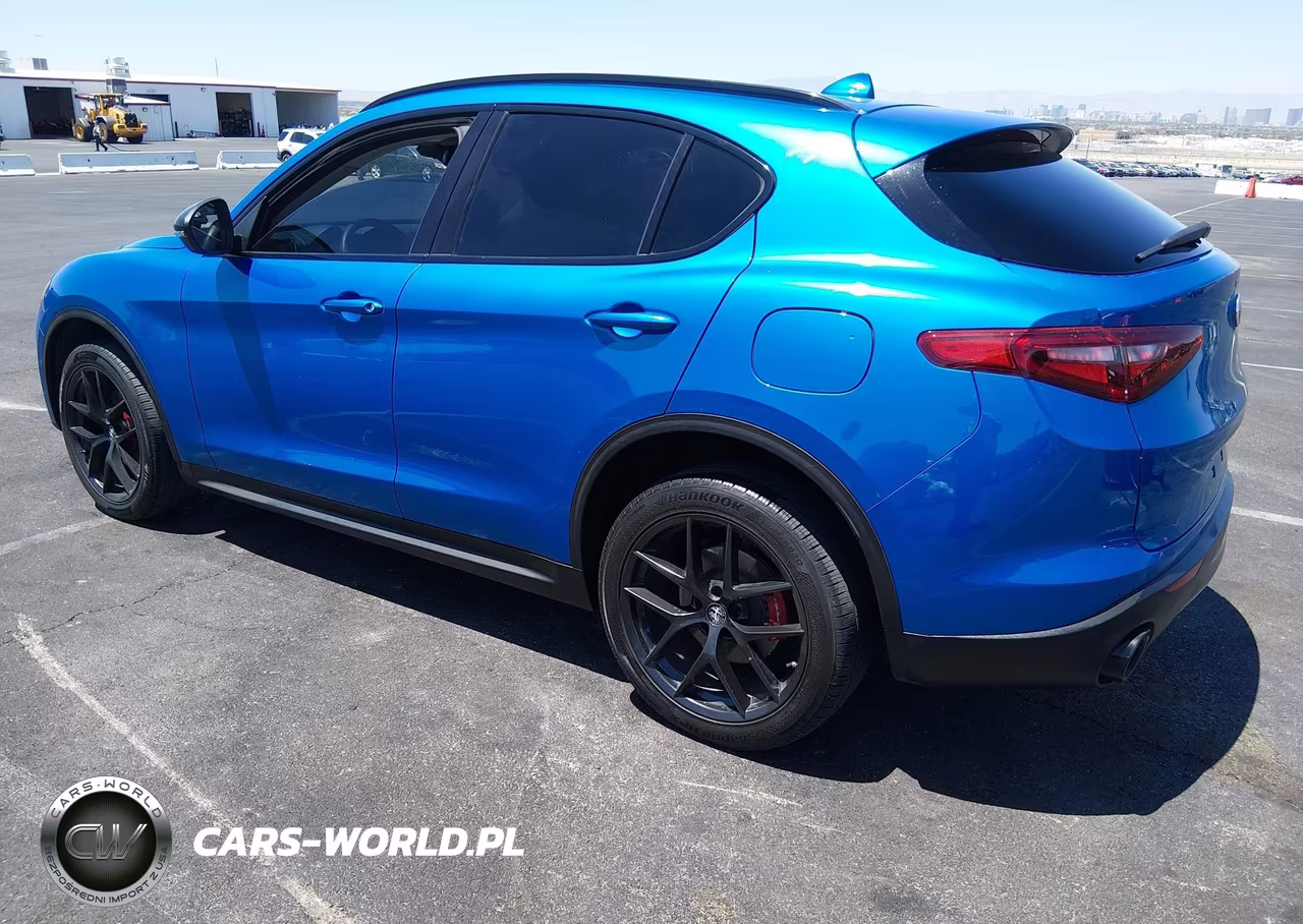 2019 Alfa Romeo Stelvio Rwd VIN:ZASPAJAN5K7C48774 - 3