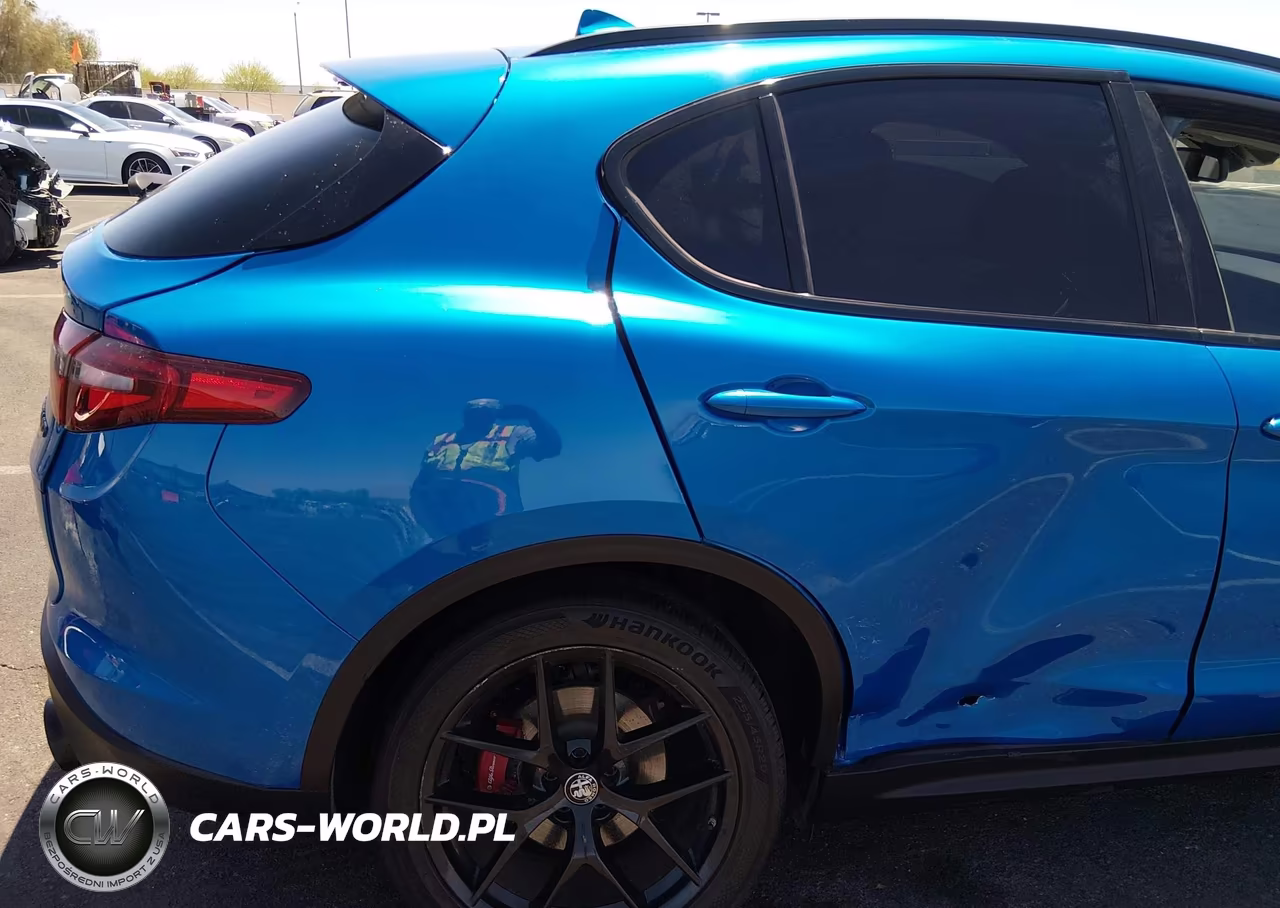 2019 Alfa Romeo Stelvio Rwd VIN:ZASPAJAN5K7C48774 - 6