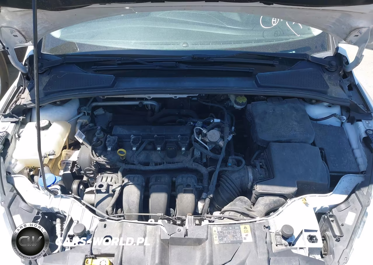 2016 Ford Focus Se VIN:1FADP3F2XGL336325 - 10