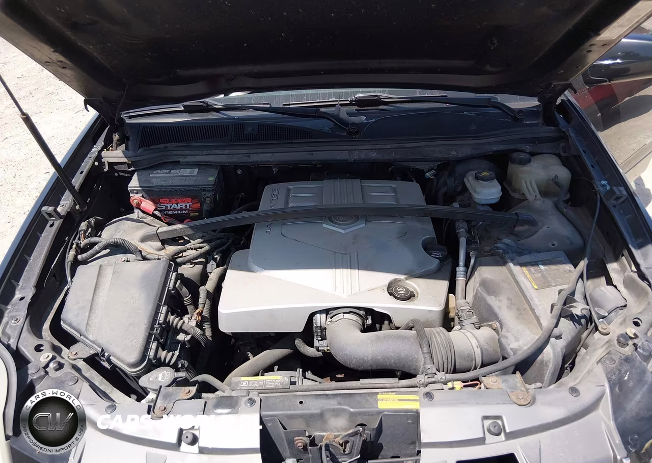 2005 Cadillac Srx V6 VIN:1GYEE637750207831 - 10