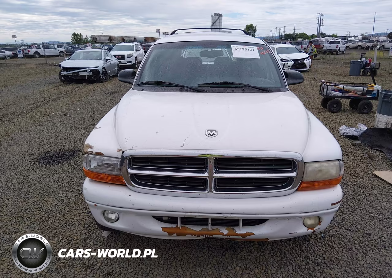 2000 Dodge Durango VIN:1B4HS28N7YF230245 - 13