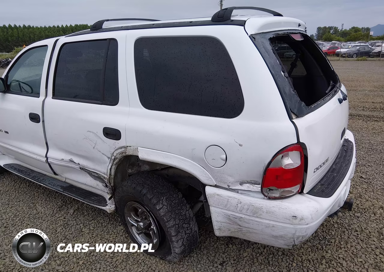 2000 Dodge Durango VIN:1B4HS28N7YF230245 - 6