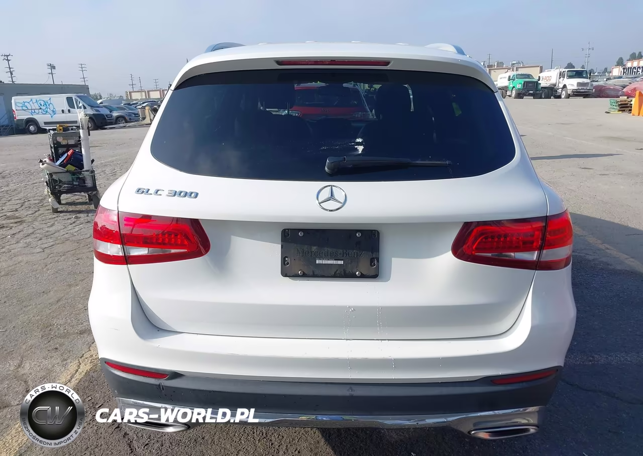2019 Mercedes-Benz Glc 300 VIN:WDC0G4JB2KV144524 - 16