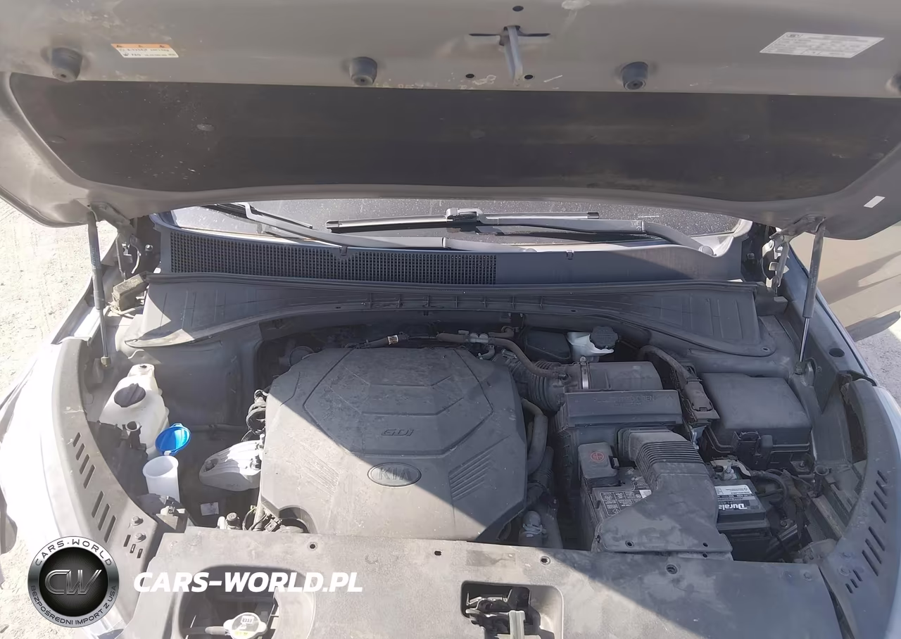 2019 Kia Sorento 3.3L Lx VIN:5XYPG4A56KG482336 - 10