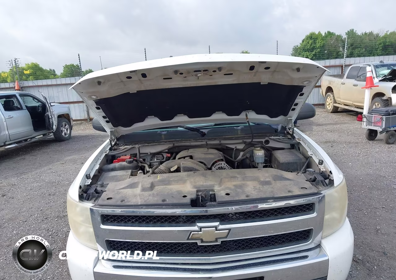 2010 Chevrolet Silverado 1500 Ls VIN:1GCSKREA0AZ240767 - 10