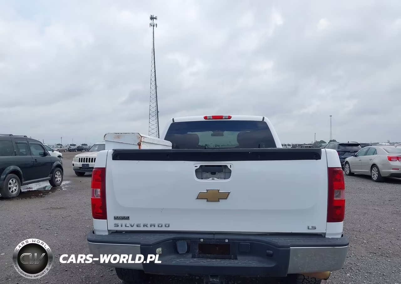 2010 Chevrolet Silverado 1500 Ls VIN:1GCSKREA0AZ240767 - 16