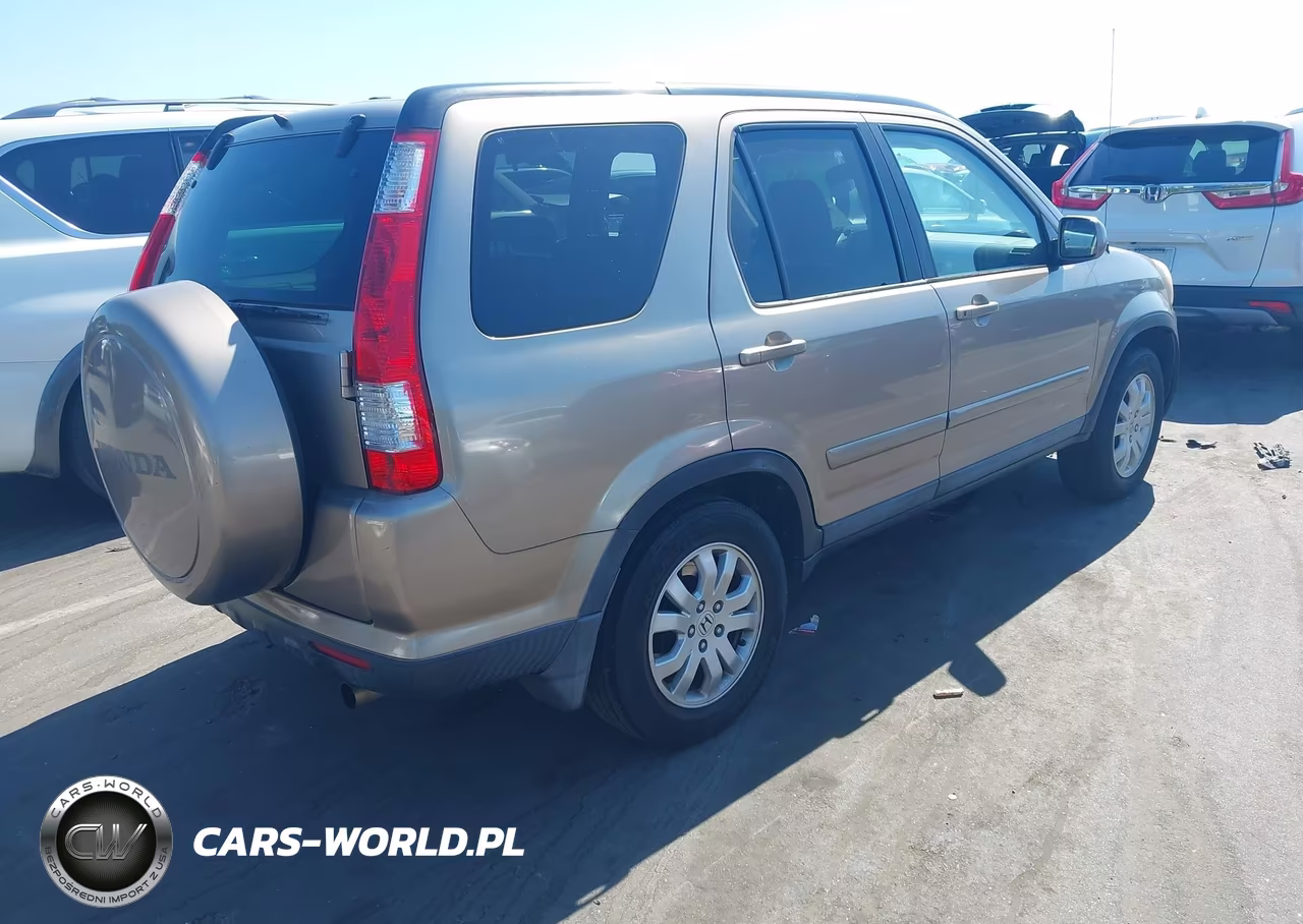 2005 Honda Cr-V Se VIN:SHSRD78945U339885 - 4