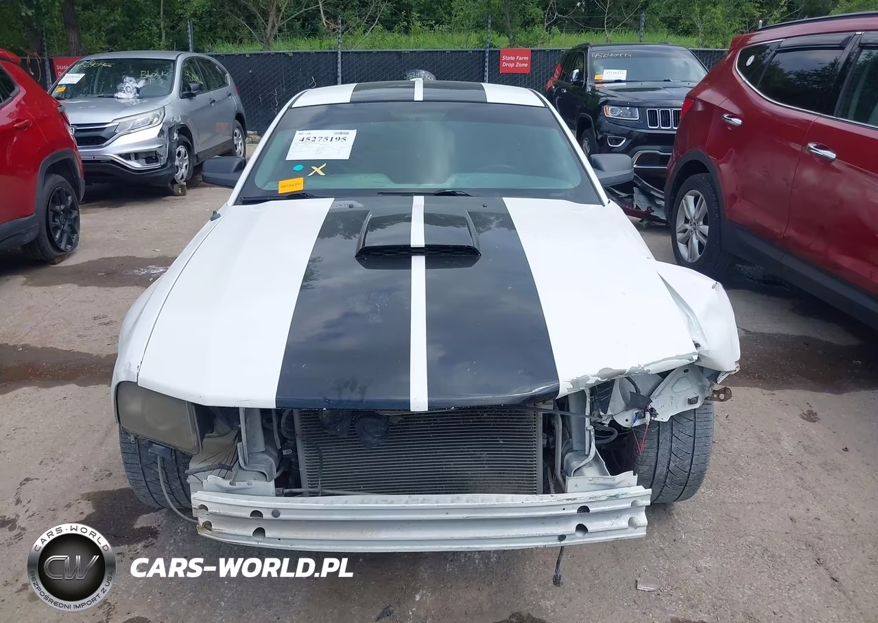 2008 Ford Mustang Gt Deluxe-Gt Premium VIN:1ZVHT82H785178124 - 13