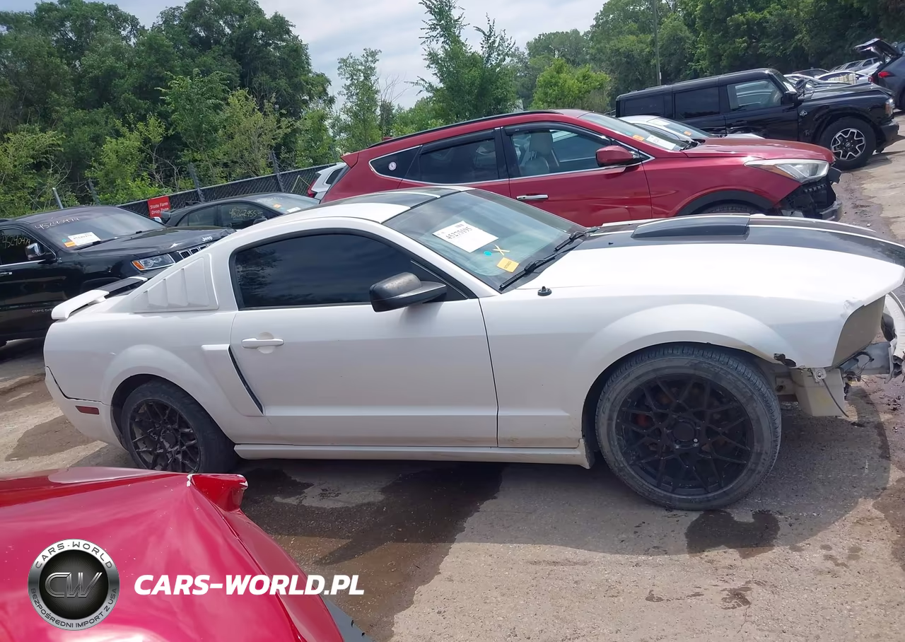 2008 Ford Mustang Gt Deluxe-Gt Premium VIN:1ZVHT82H785178124 - 14
