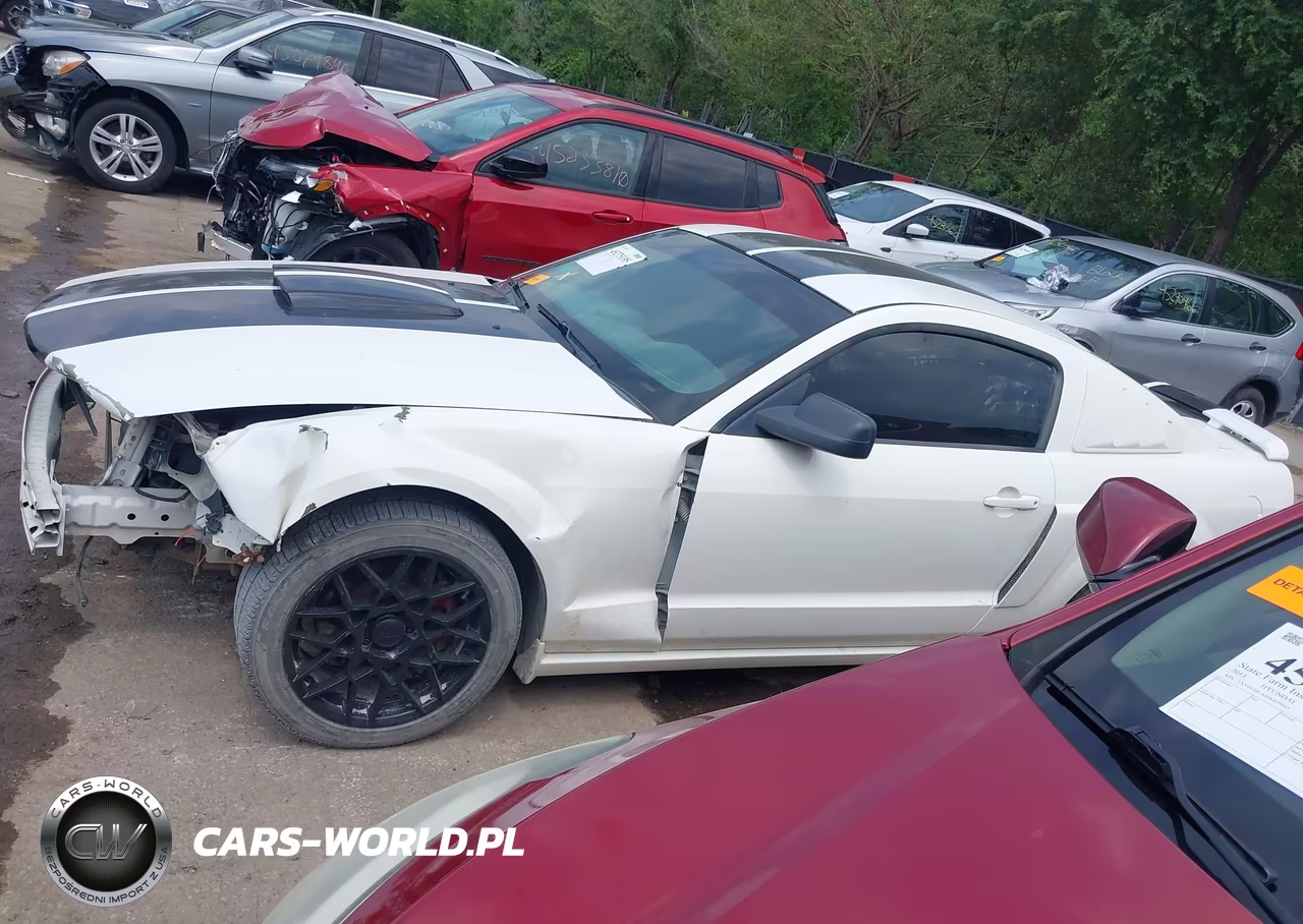 2008 Ford Mustang Gt Deluxe-Gt Premium VIN:1ZVHT82H785178124 - 15