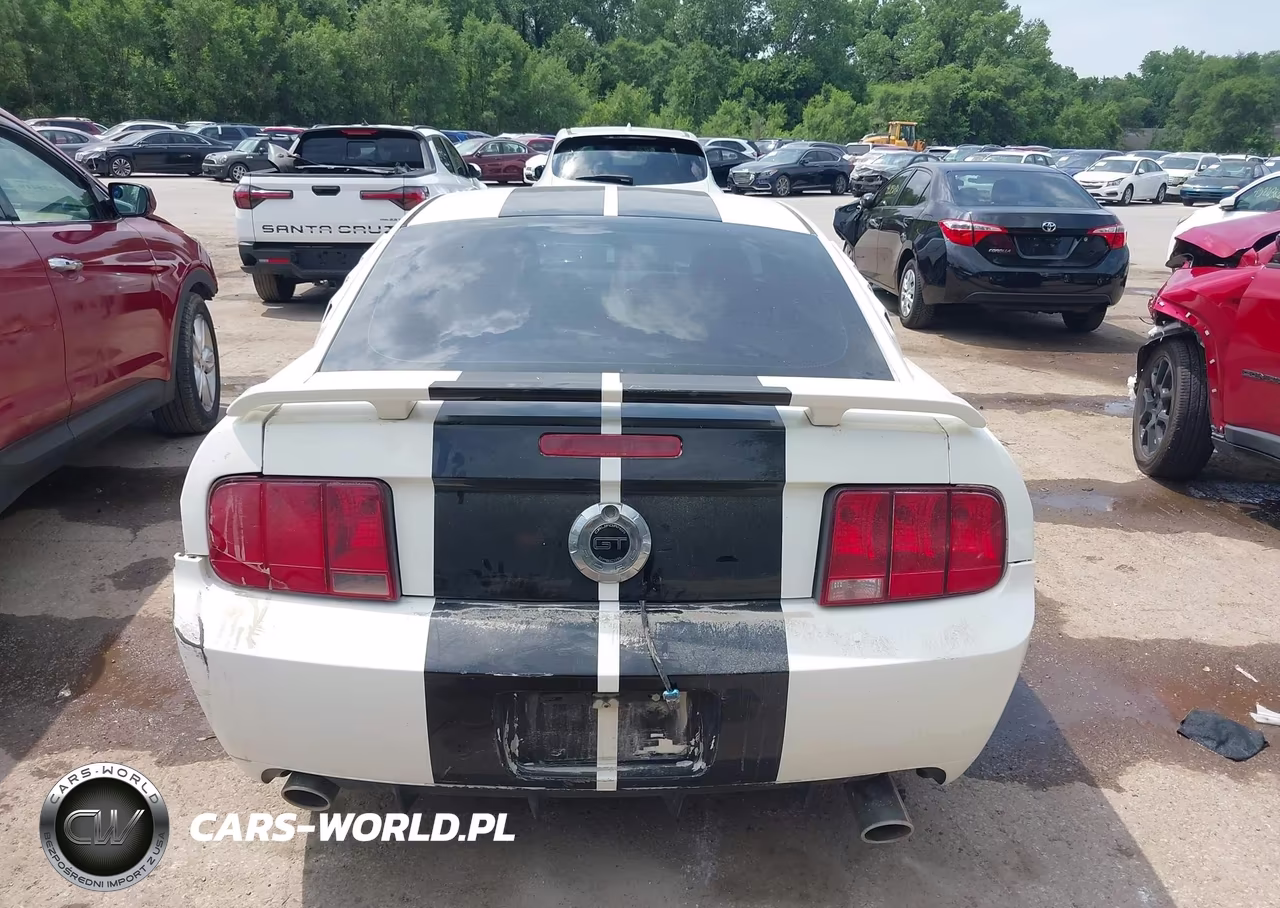 2008 Ford Mustang Gt Deluxe-Gt Premium VIN:1ZVHT82H785178124 - 17