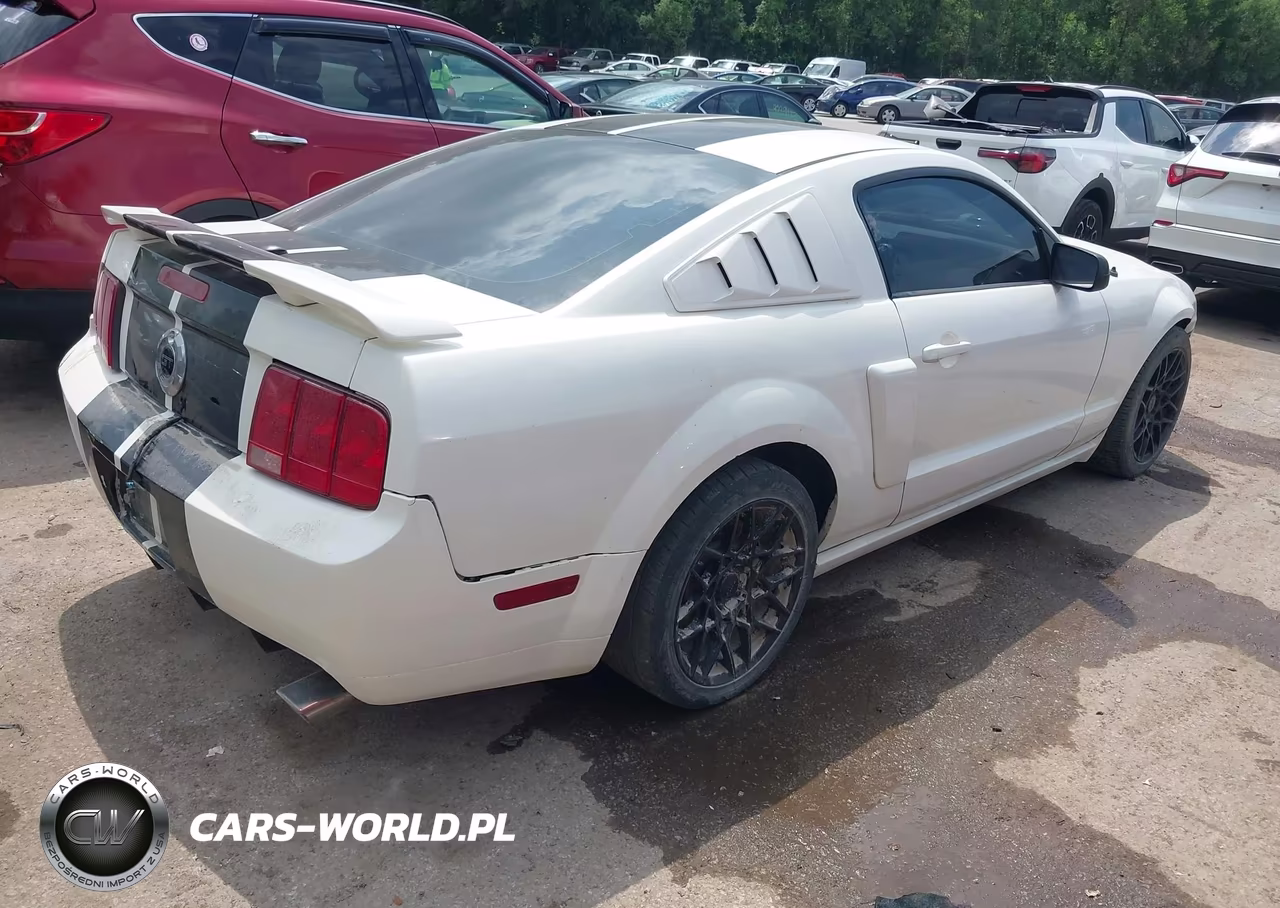 2008 Ford Mustang Gt Deluxe-Gt Premium VIN:1ZVHT82H785178124 - 4