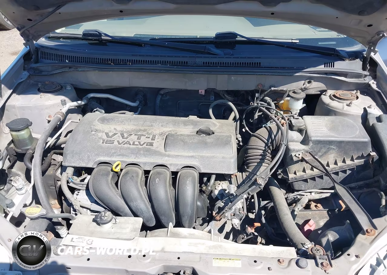 2003 Toyota Corolla Ce VIN:1NXBR32EX3Z131454 - 10