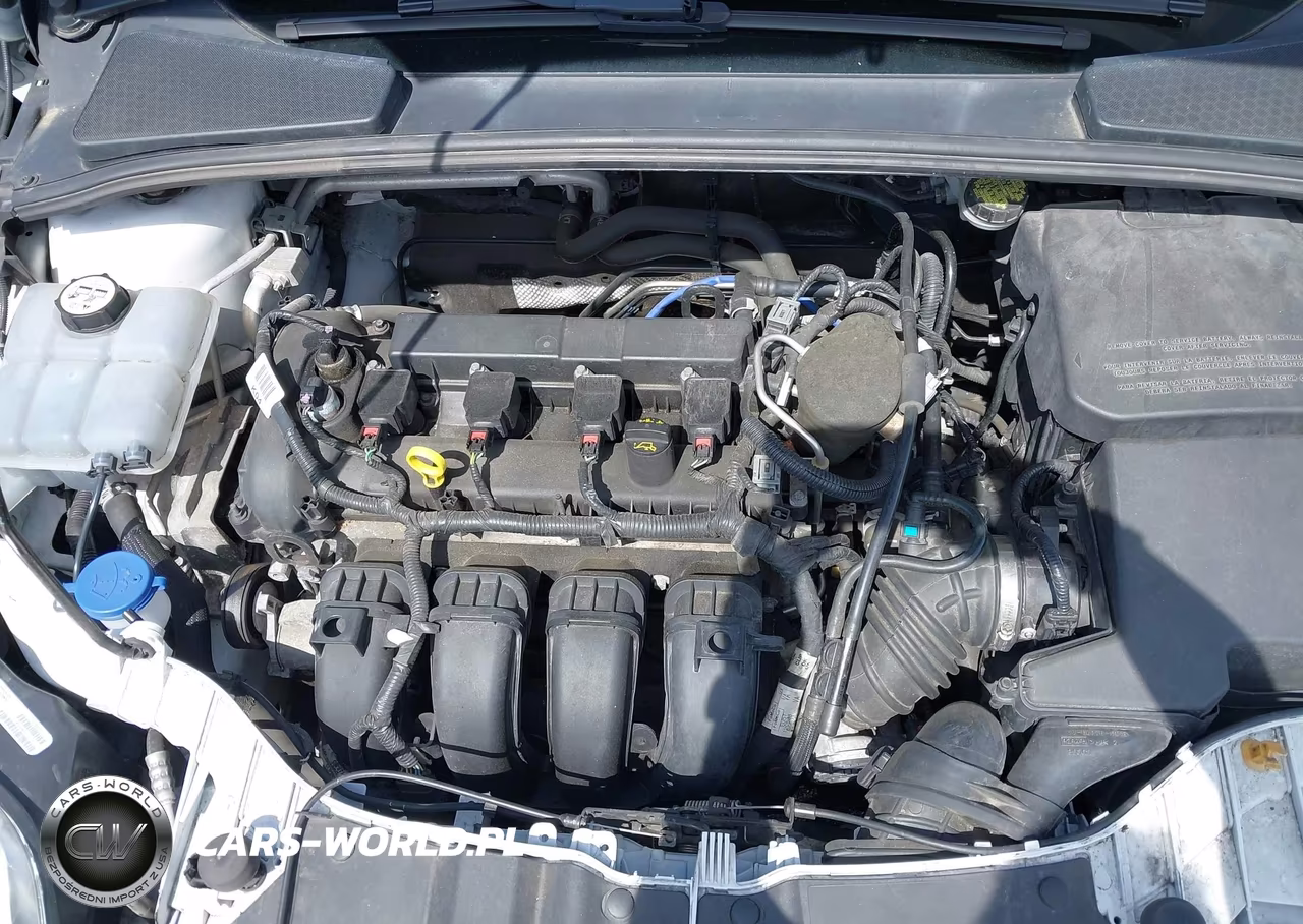 2014 Ford Focus Se VIN:1FADP3F27EL386760 - 10