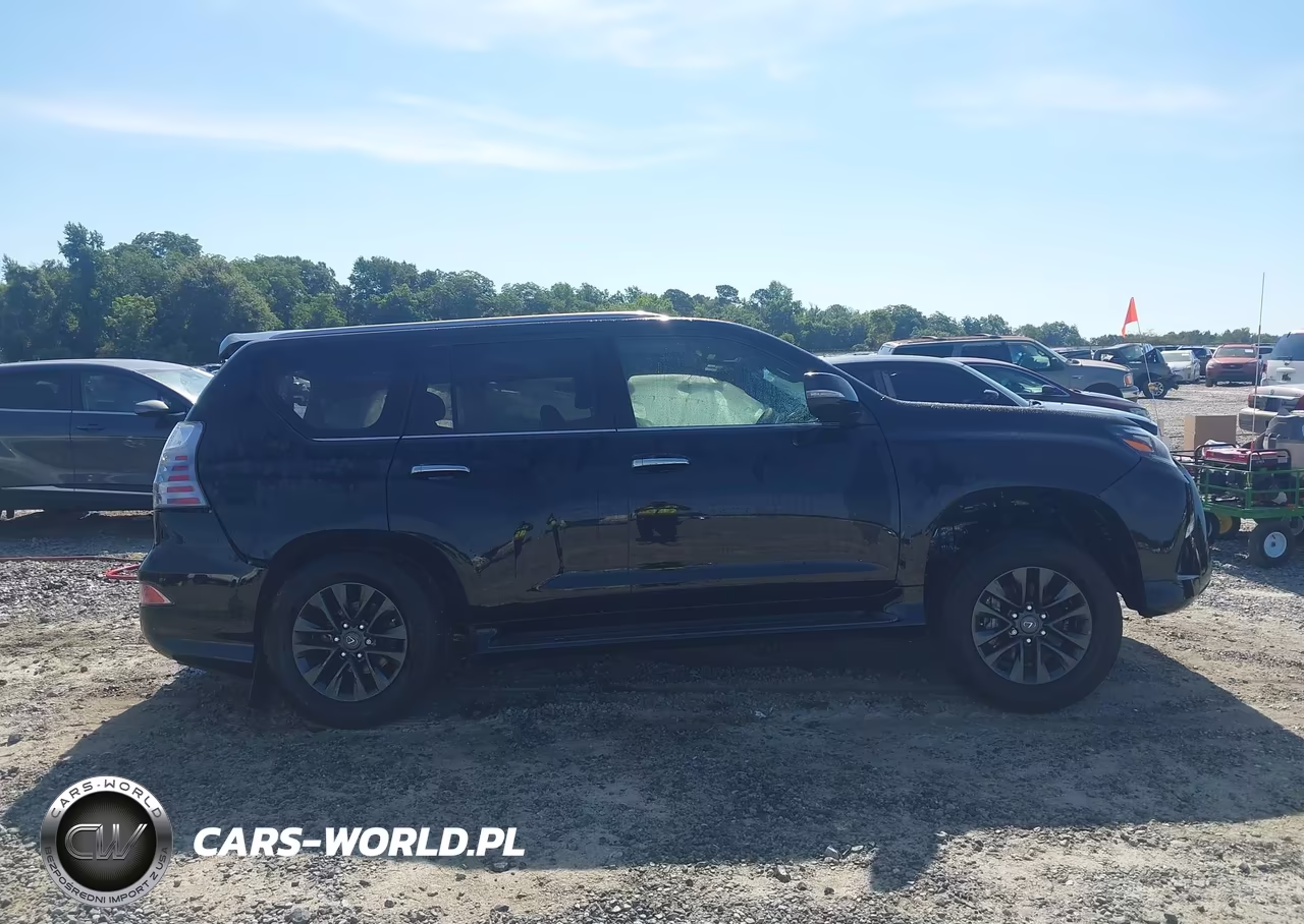 2020 Lexus Gx 460 Premium VIN:JTJAM7BX6L5263612 - 13