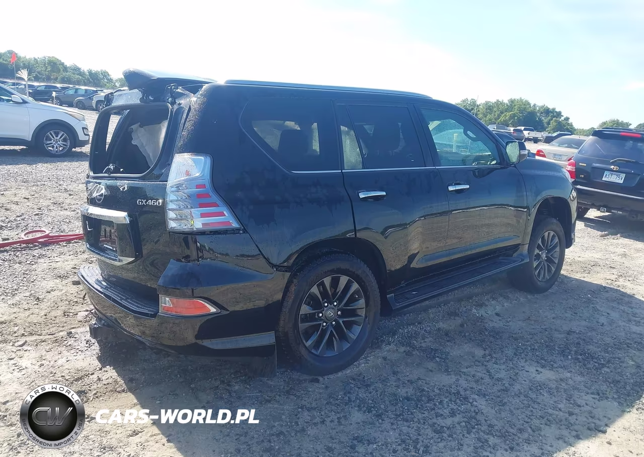 2020 Lexus Gx 460 Premium VIN:JTJAM7BX6L5263612 - 4