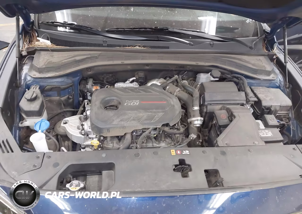 2020 Hyundai Santa Fe Limited 2.0T VIN:5NMS53AA7LH257065 - 10