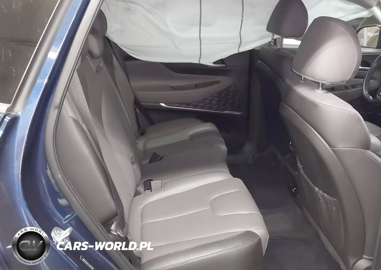 2020 Hyundai Santa Fe Limited 2.0T VIN:5NMS53AA7LH257065 - 8