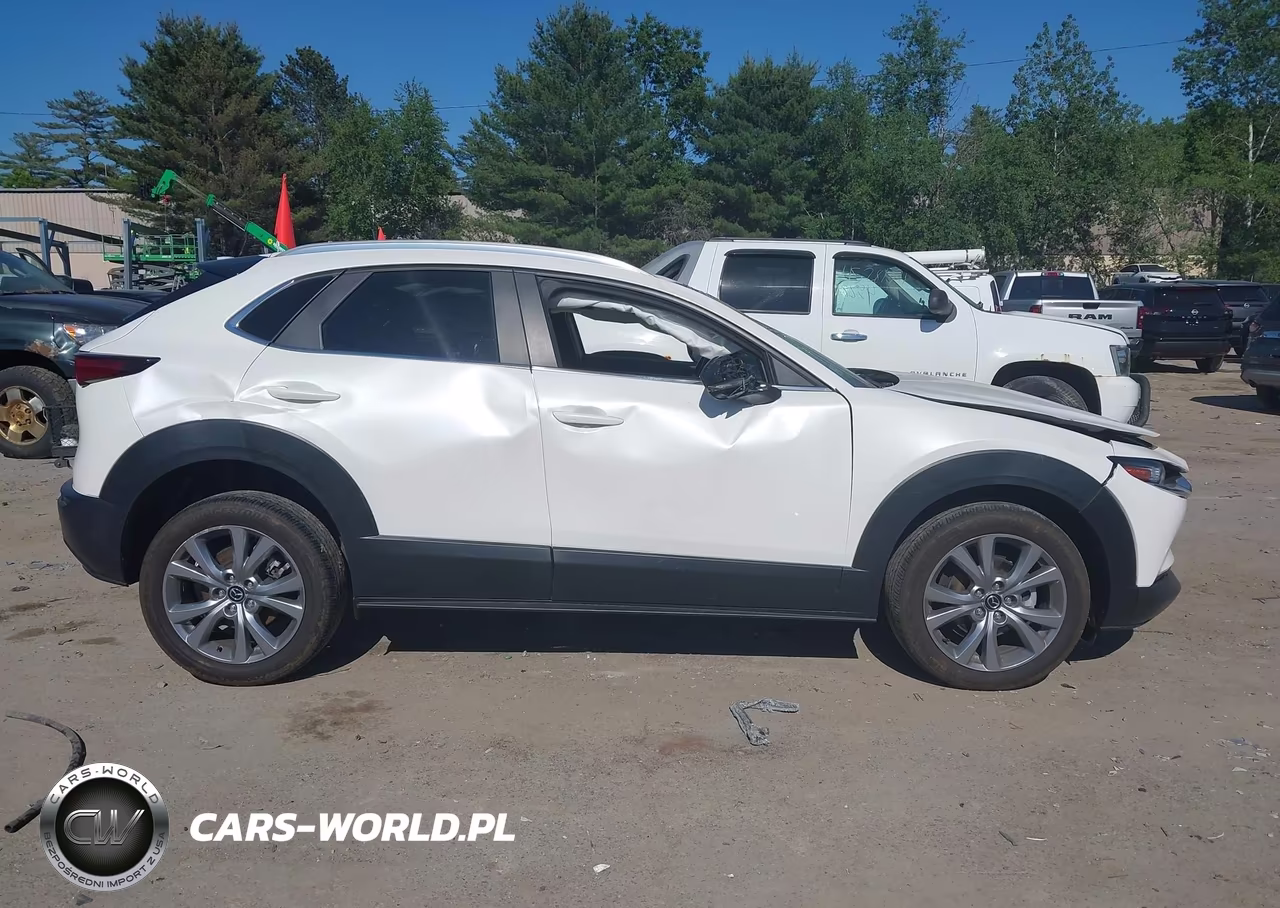 2023 Mazda Cx-30 2.5 S Select VIN:3MVDMBBM6PM575761 - 10
