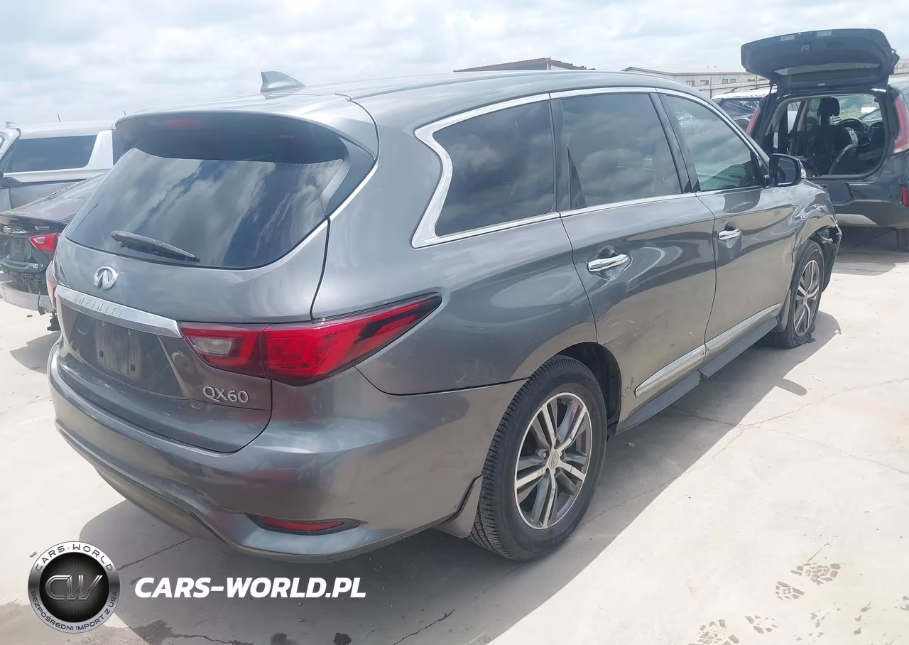 2020 Infiniti Qx60 Pure VIN:5N1DL0MN5LC523348 - 4