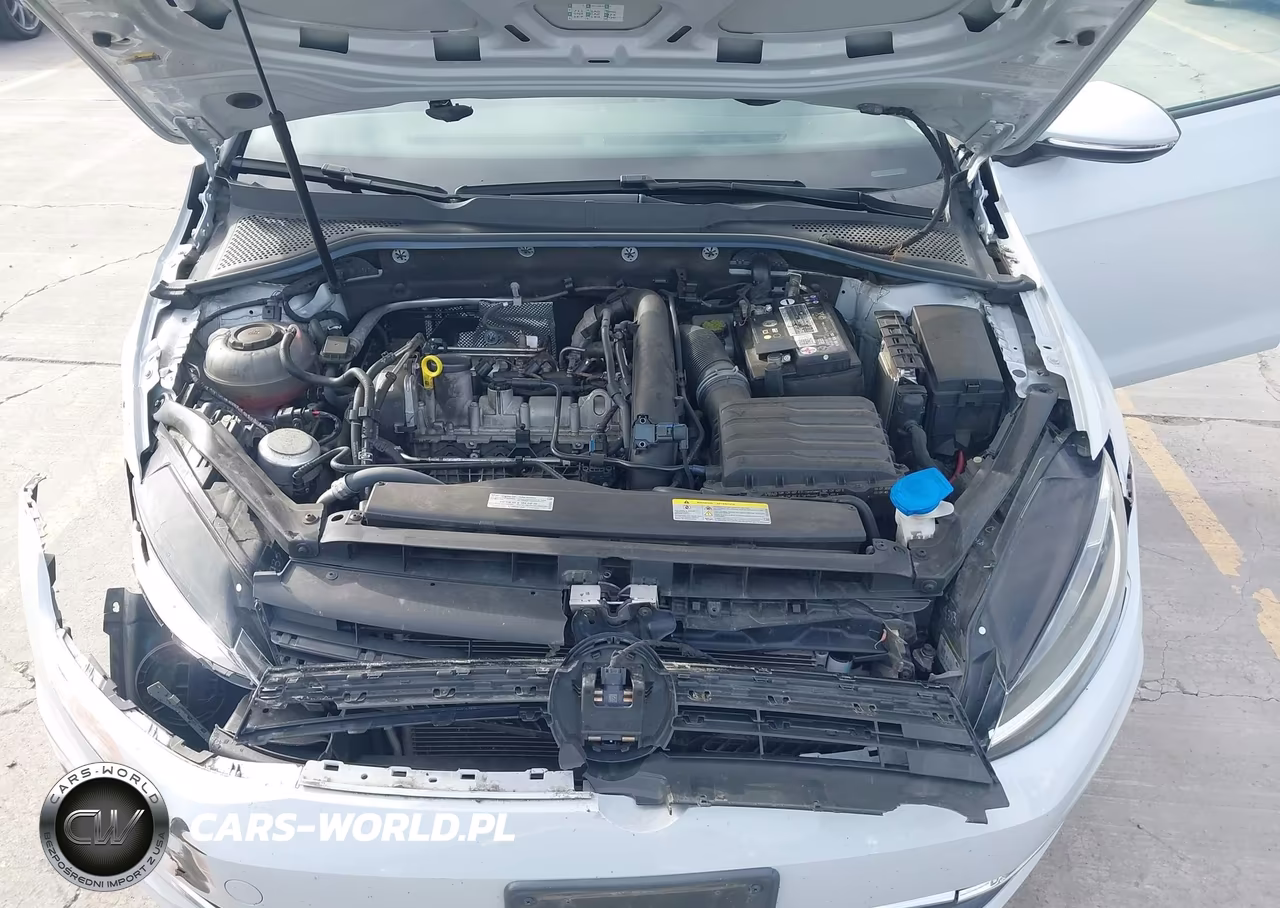 2020 Volkswagen Golf 1.4T Tsi VIN:3VWG57AU2LM013969 - 10