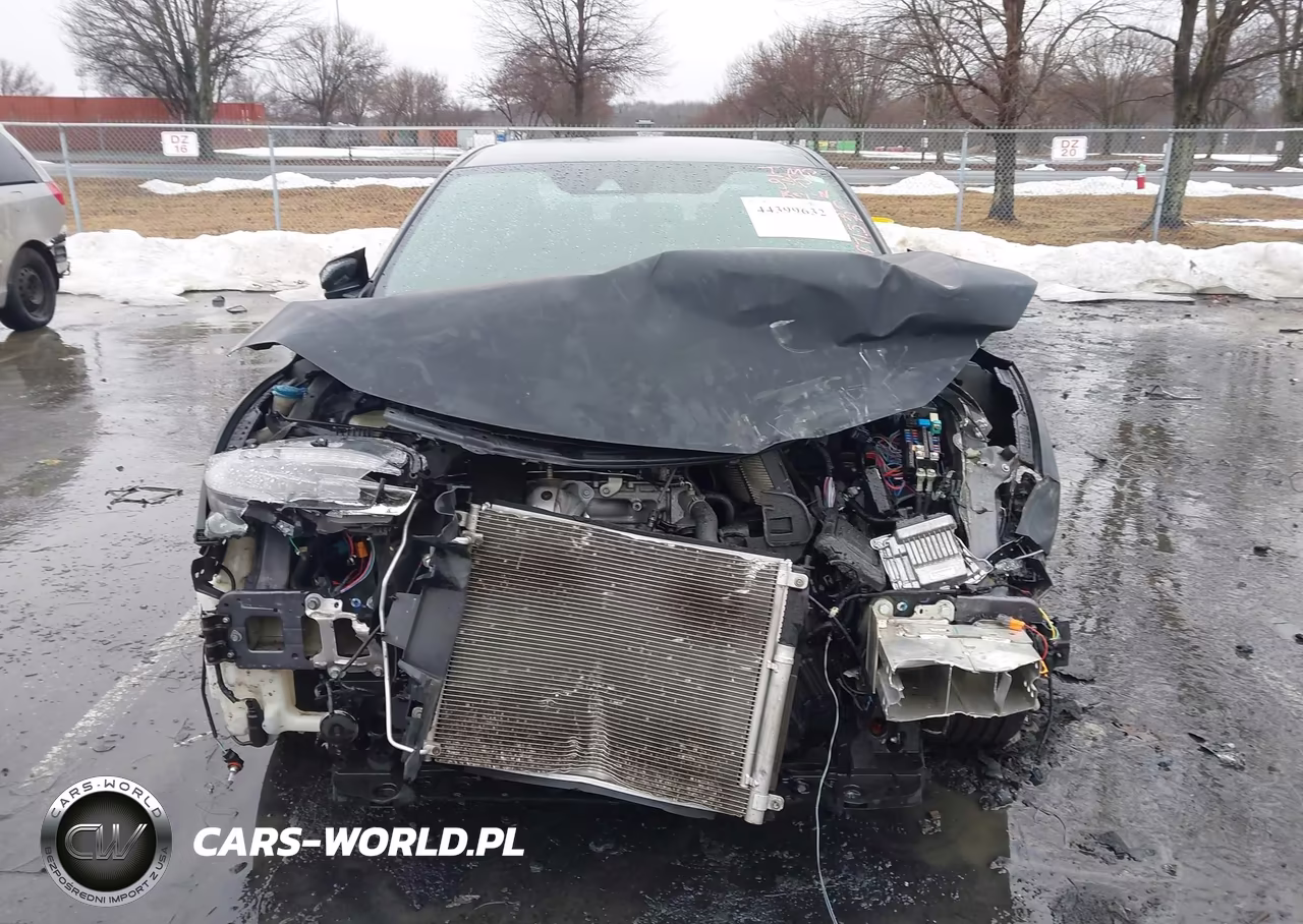 2019 Honda Civic Sport VIN:2HGFC2F88KH530159 - 12