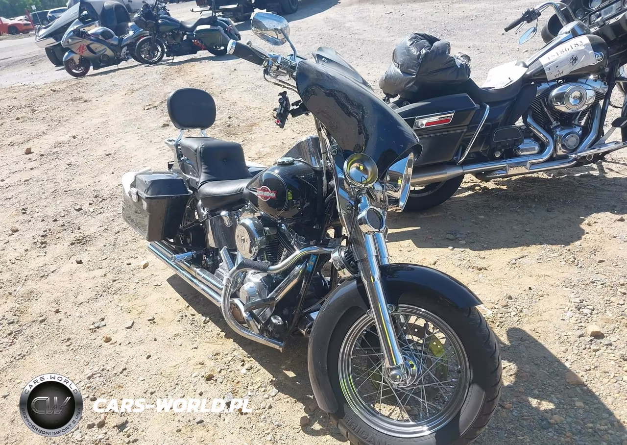 2006 Harley-Davidson Flstci