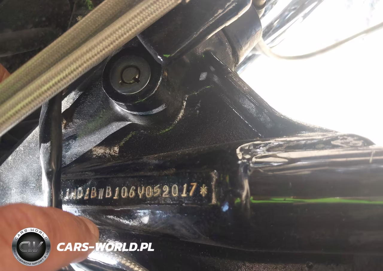 2006 Harley-Davidson Flstci VIN:1HD1BWB106Y052017 - 10