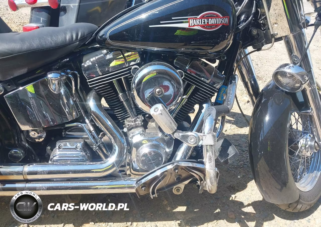 2006 Harley-Davidson Flstci VIN:1HD1BWB106Y052017 - 8