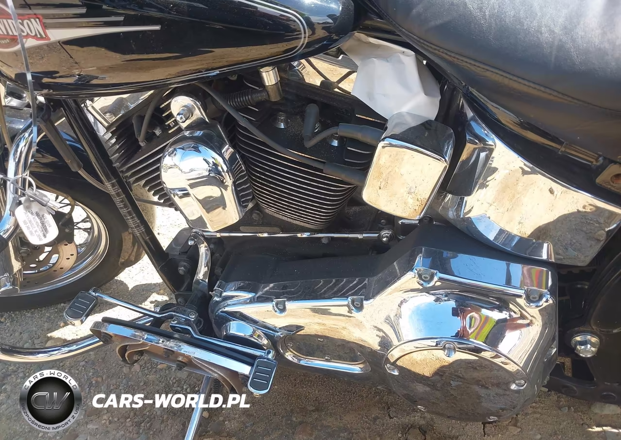 2006 Harley-Davidson Flstci VIN:1HD1BWB106Y052017 - 9