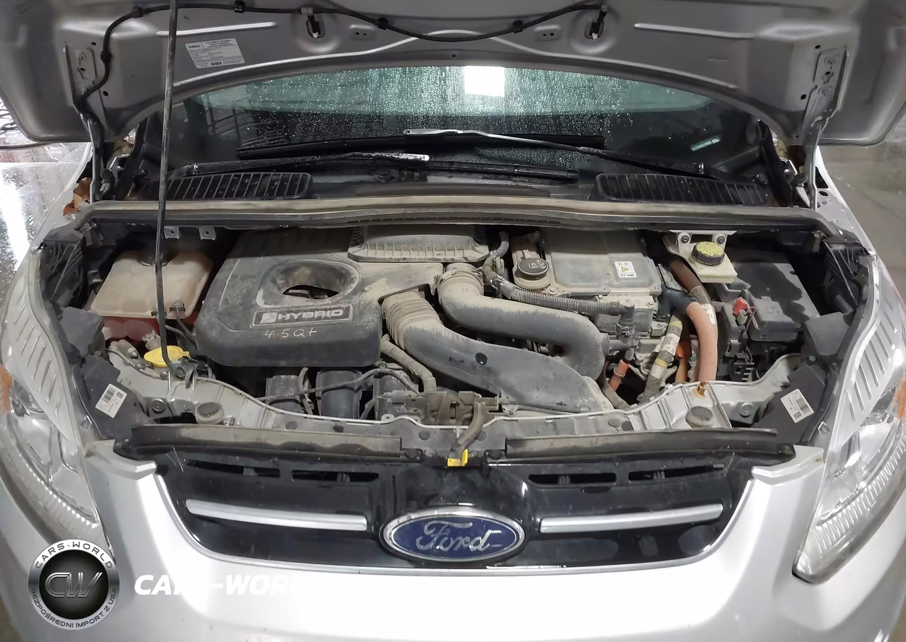 2017 Ford C-Max Hybrid Se VIN:1FADP5AU4HL115616 - 10