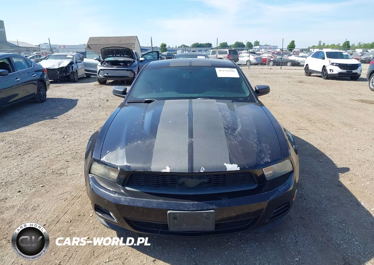 2012 Ford Mustang V6 Premium VIN:1ZVBP8AM6C5210837 - 12