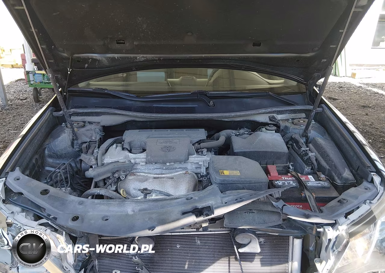 2014 Toyota Camry Se VIN:4T1BF1FK4EU442457 - 10