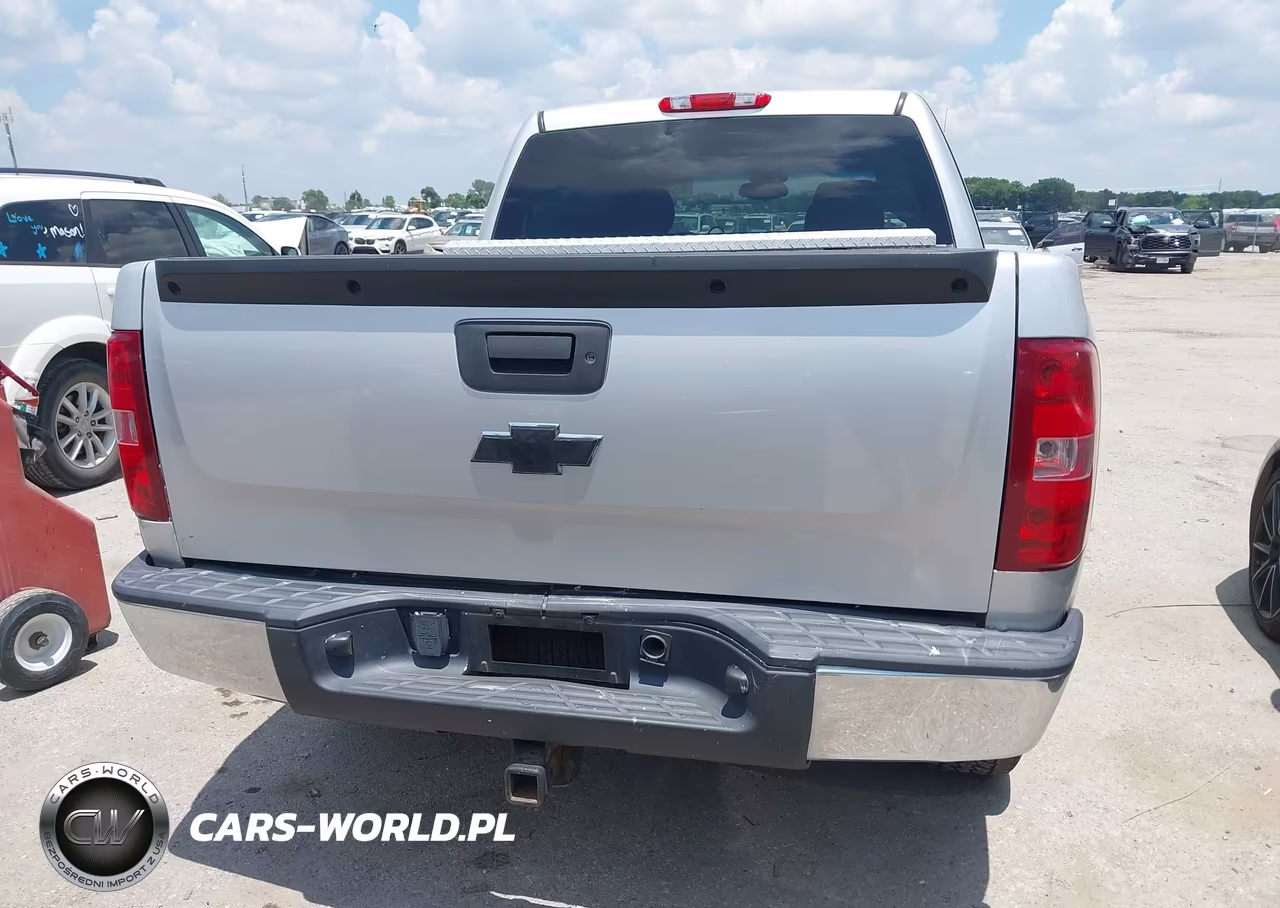 2010 Chevrolet Silverado 1500 Lt VIN:3GCRCSE07AG299289 - 16