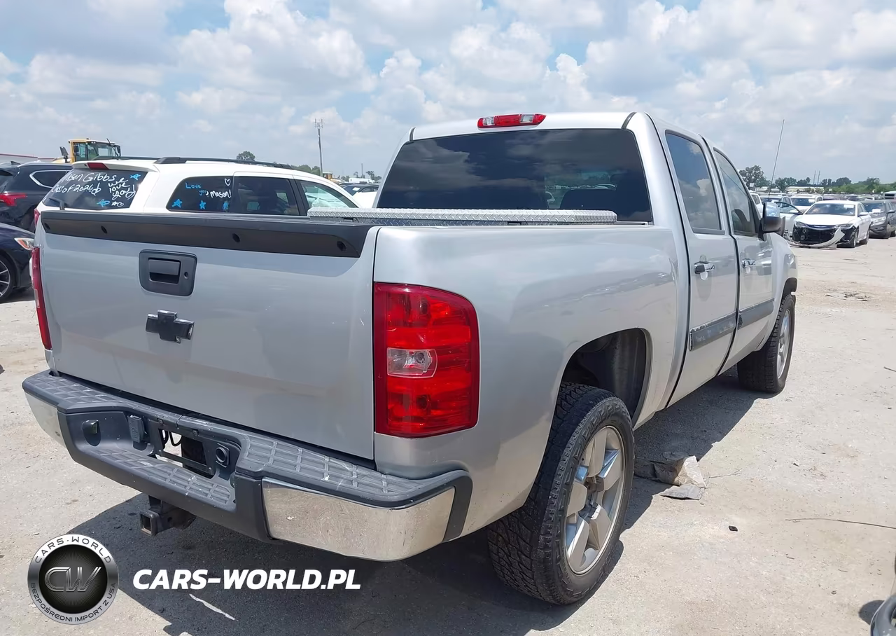 2010 Chevrolet Silverado 1500 Lt VIN:3GCRCSE07AG299289 - 4