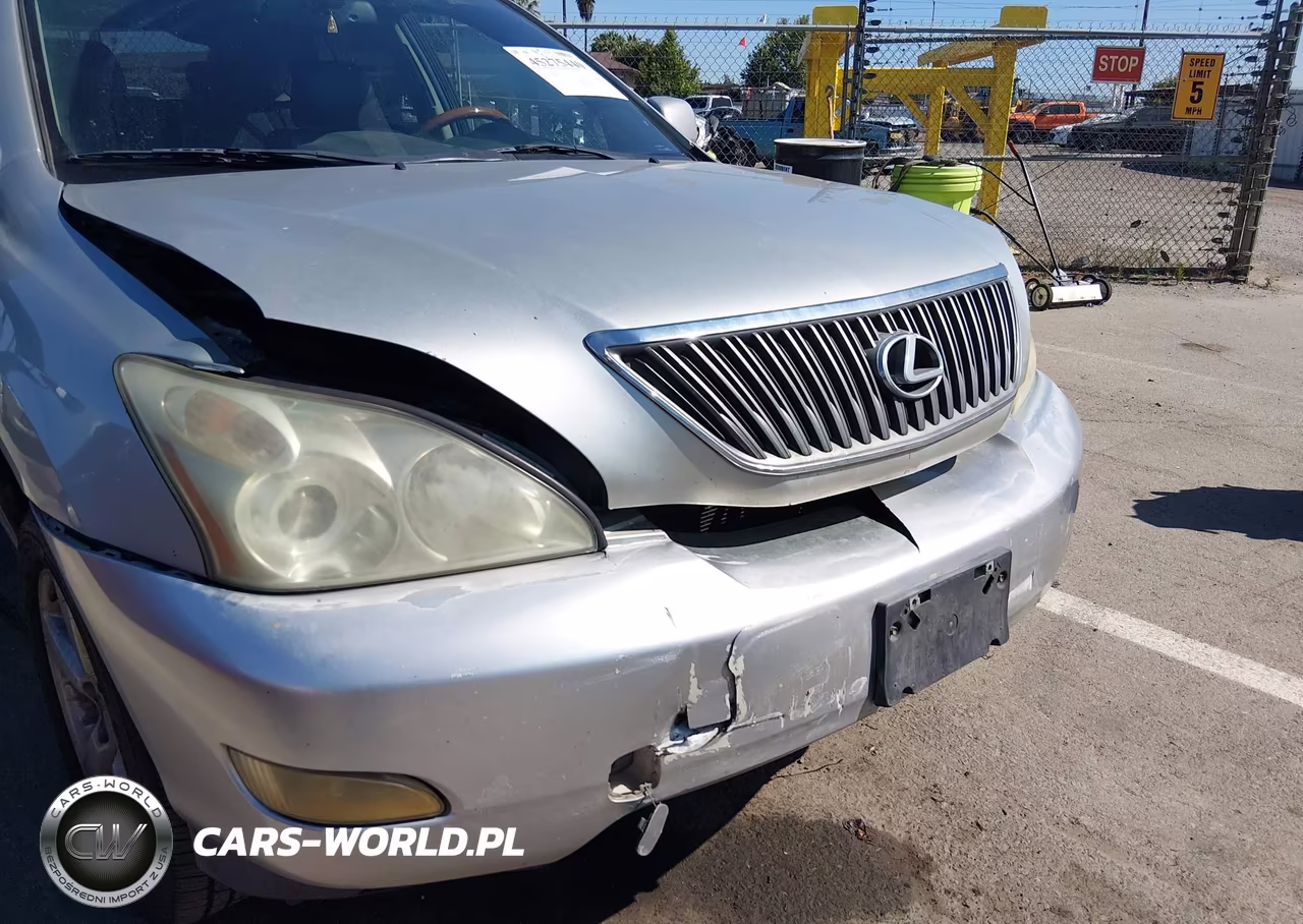 2004 Lexus Rx 330 VIN:JTJGA31U940003545 - 6
