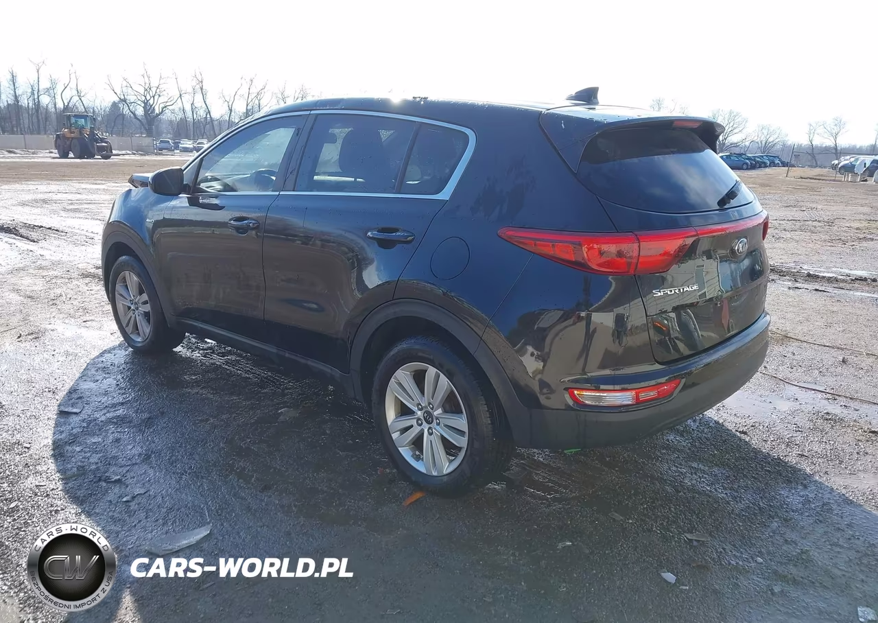 2017 Kia Sportage Lx VIN:KNDPMCAC9H7194916 - 3