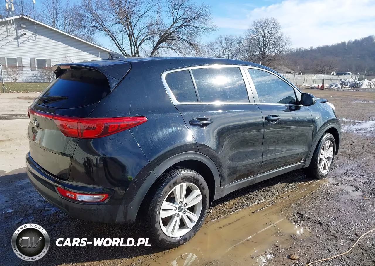 2017 Kia Sportage Lx VIN:KNDPMCAC9H7194916 - 4