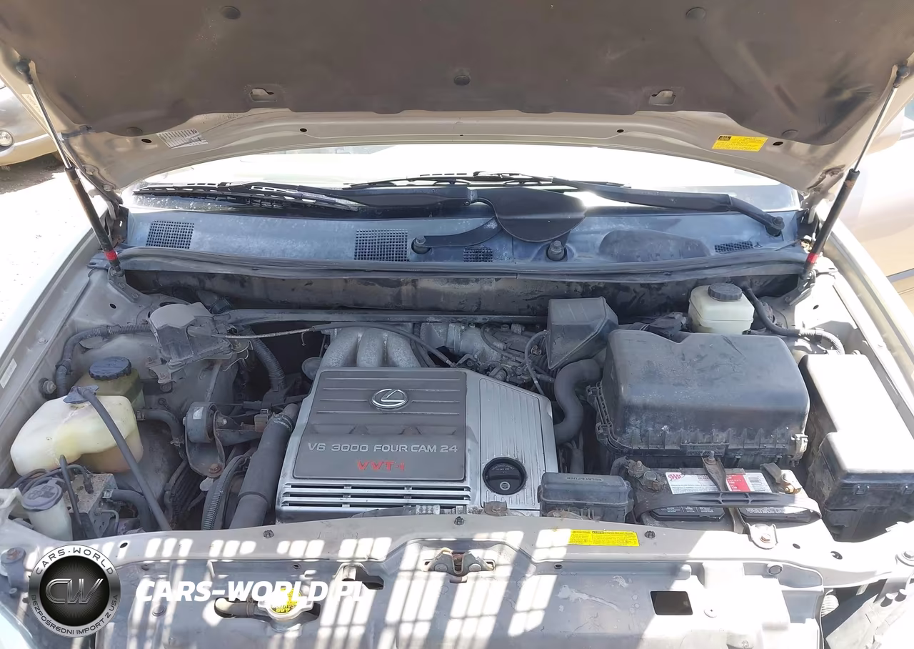 2002 Lexus Rx 300 VIN:JTJHF10U320275873 - 10