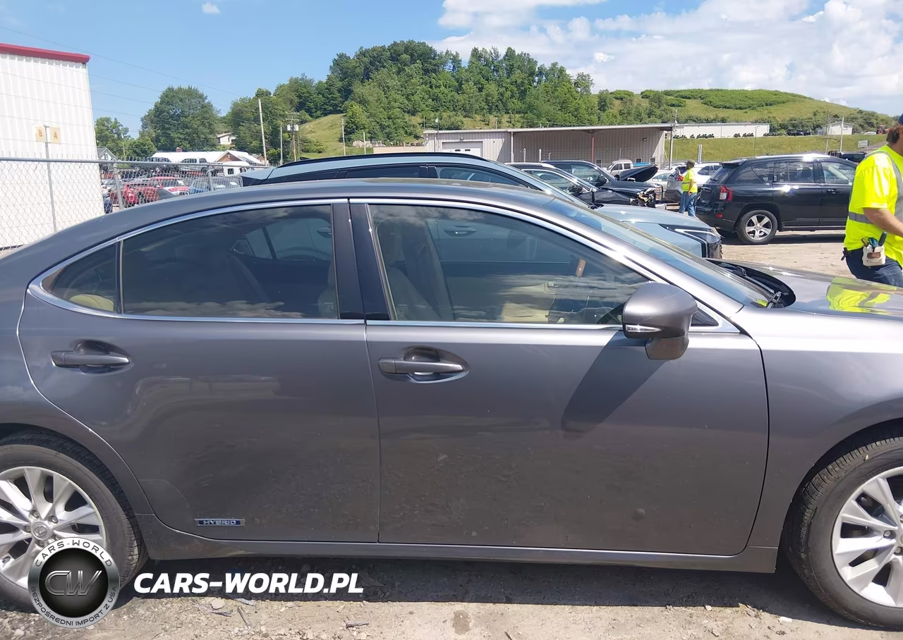 2014 Lexus Es 300H VIN:JTHBW1GG2E2059318 - 13