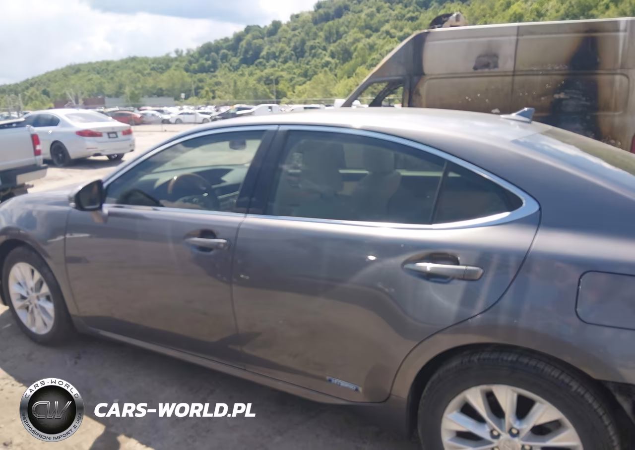 2014 Lexus Es 300H VIN:JTHBW1GG2E2059318 - 14