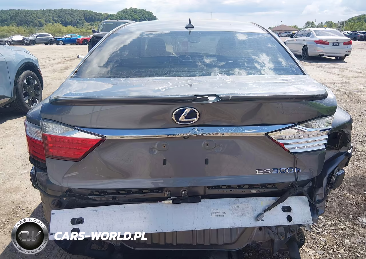 2014 Lexus Es 300H VIN:JTHBW1GG2E2059318 - 16