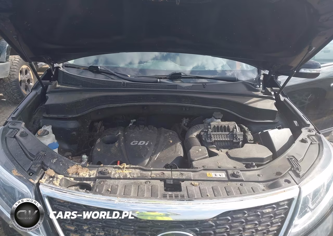 2014 Kia Sorento Lx VIN:5XYKTCA61EG539670 - 10