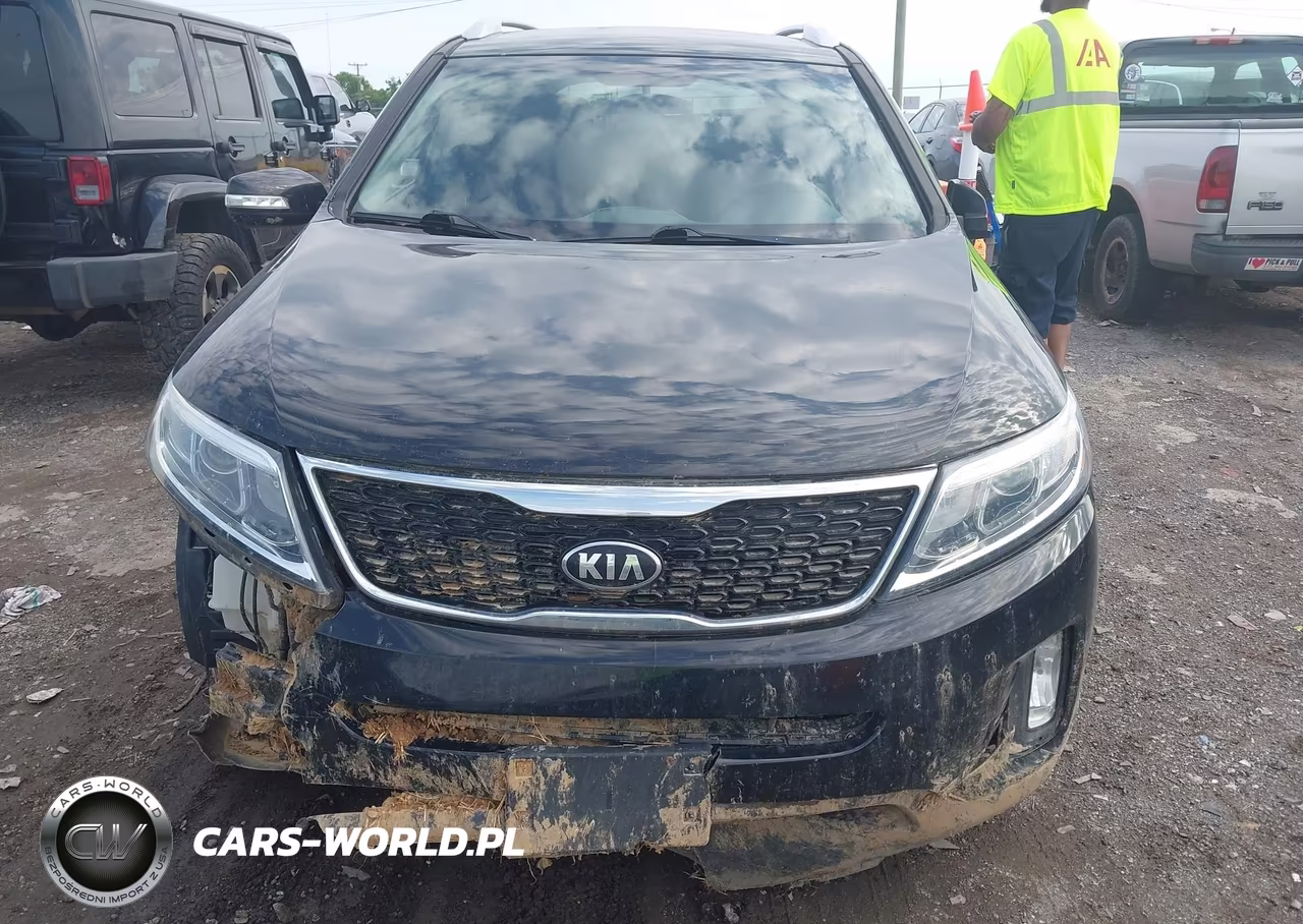 2014 Kia Sorento Lx VIN:5XYKTCA61EG539670 - 12
