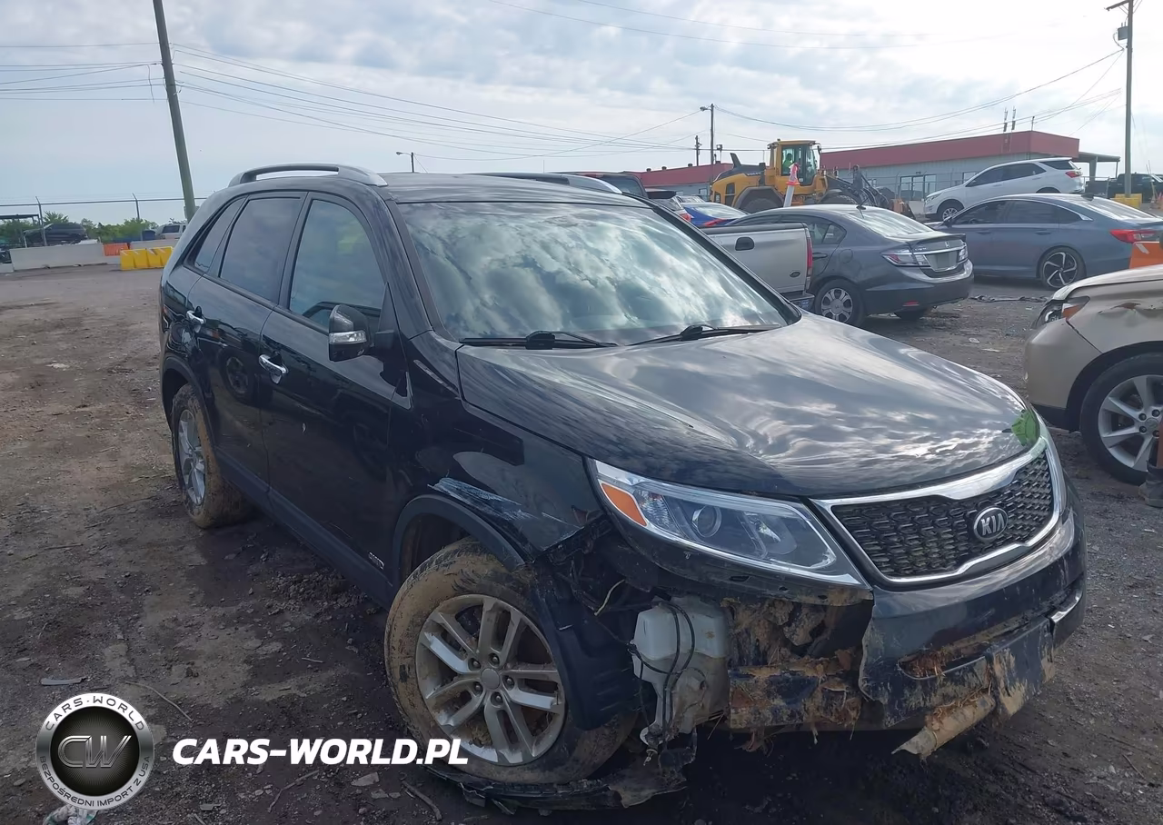 2014 Kia Sorento Lx VIN:5XYKTCA61EG539670 - 13