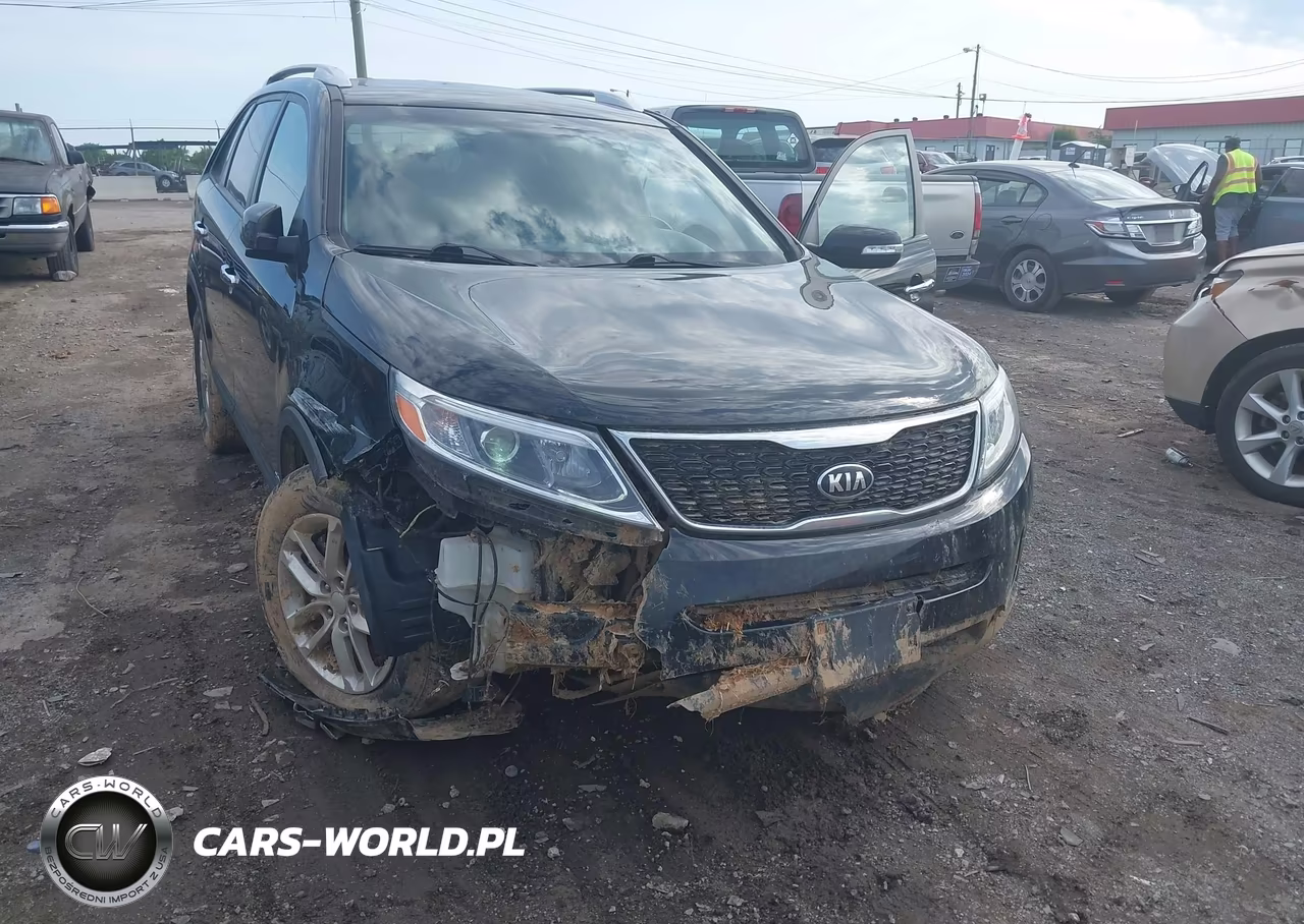 2014 Kia Sorento Lx VIN:5XYKTCA61EG539670 - 6