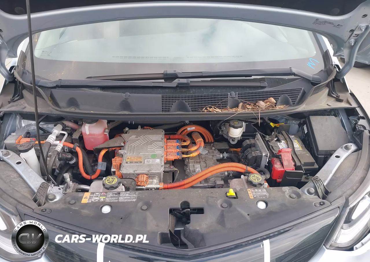 2017 Chevrolet Bolt Ev Lt VIN:1G1FW6S09H4185722 - 10