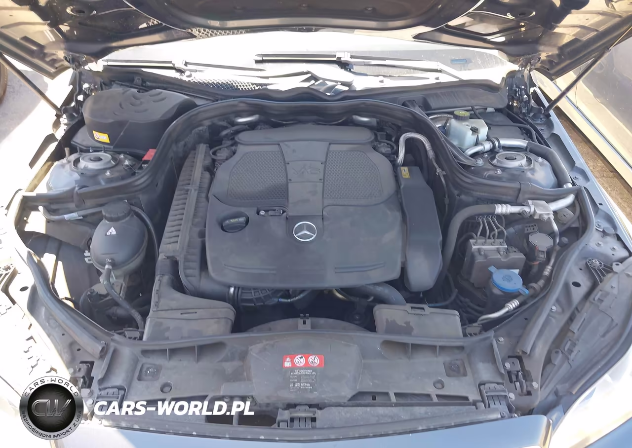 2014 Mercedes-Benz E 350 VIN:WDDHF5KBXEA906743 - 10