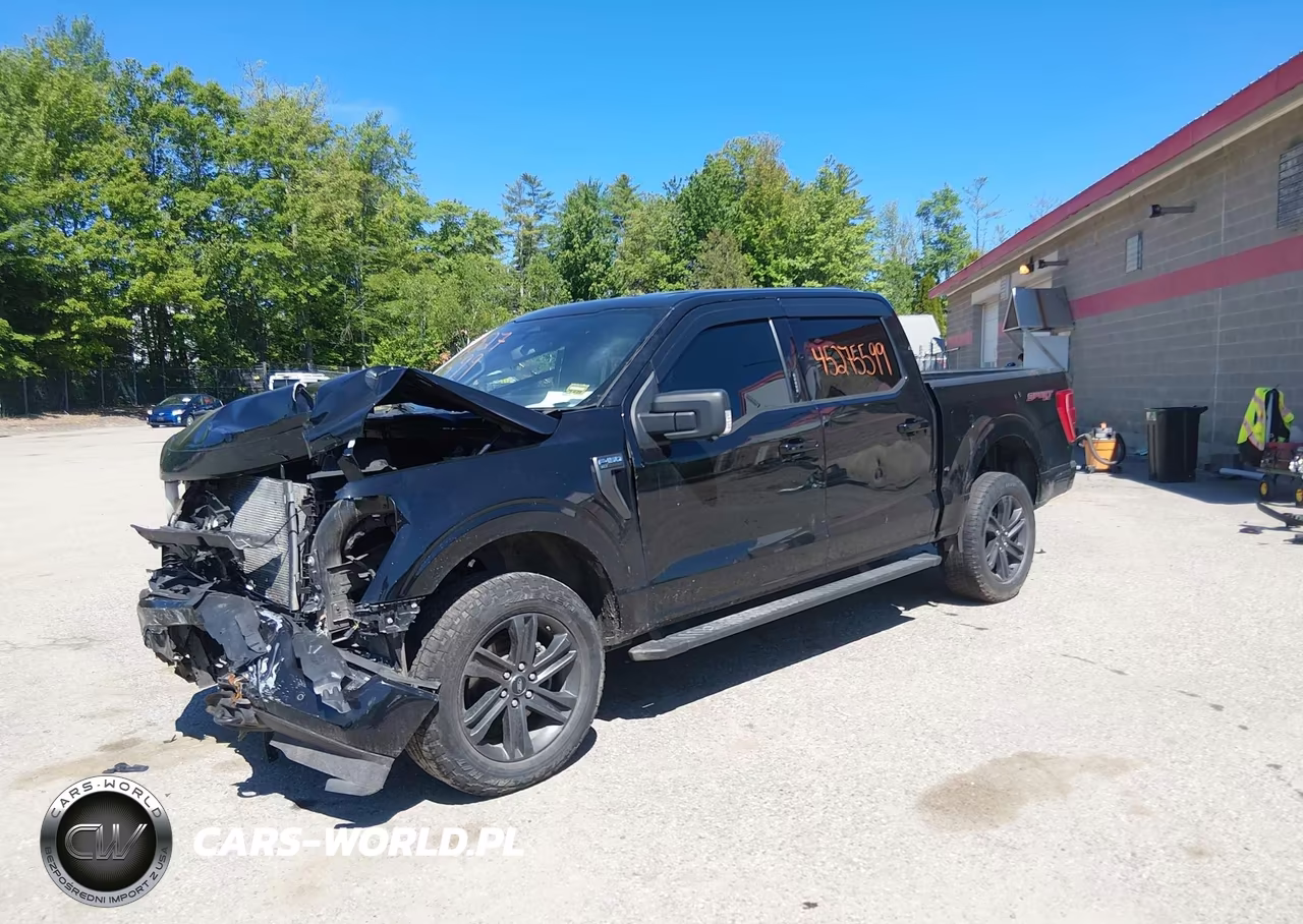 2021 Ford F-150 Xlt VIN:1FTFW1E86MFB74803 - 2