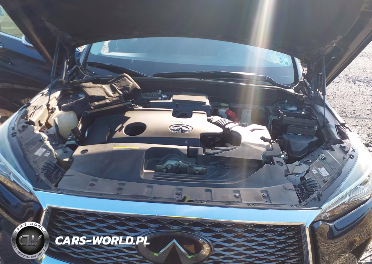 2019 Infiniti Qx50 Luxe VIN:3PCAJ5M10KF118393 - 10